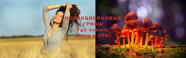 спиды Сафоново