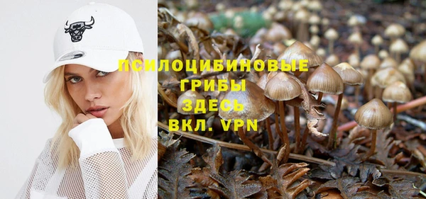не бодяженный Саяногорск