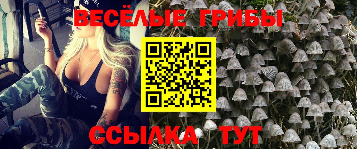 Анапа  Псилоцибиновые грибы Magic Shrooms  продажа наркотиков  Вход с VPN 