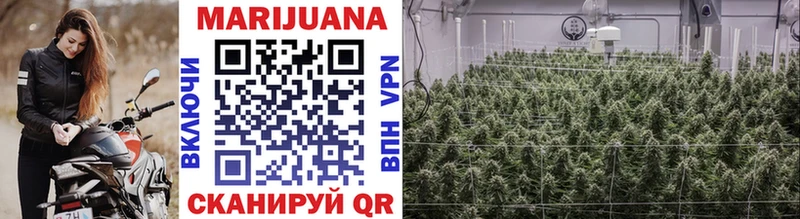 Бошки Шишки Bruce Banner  купить наркотики сайты  Анапа 